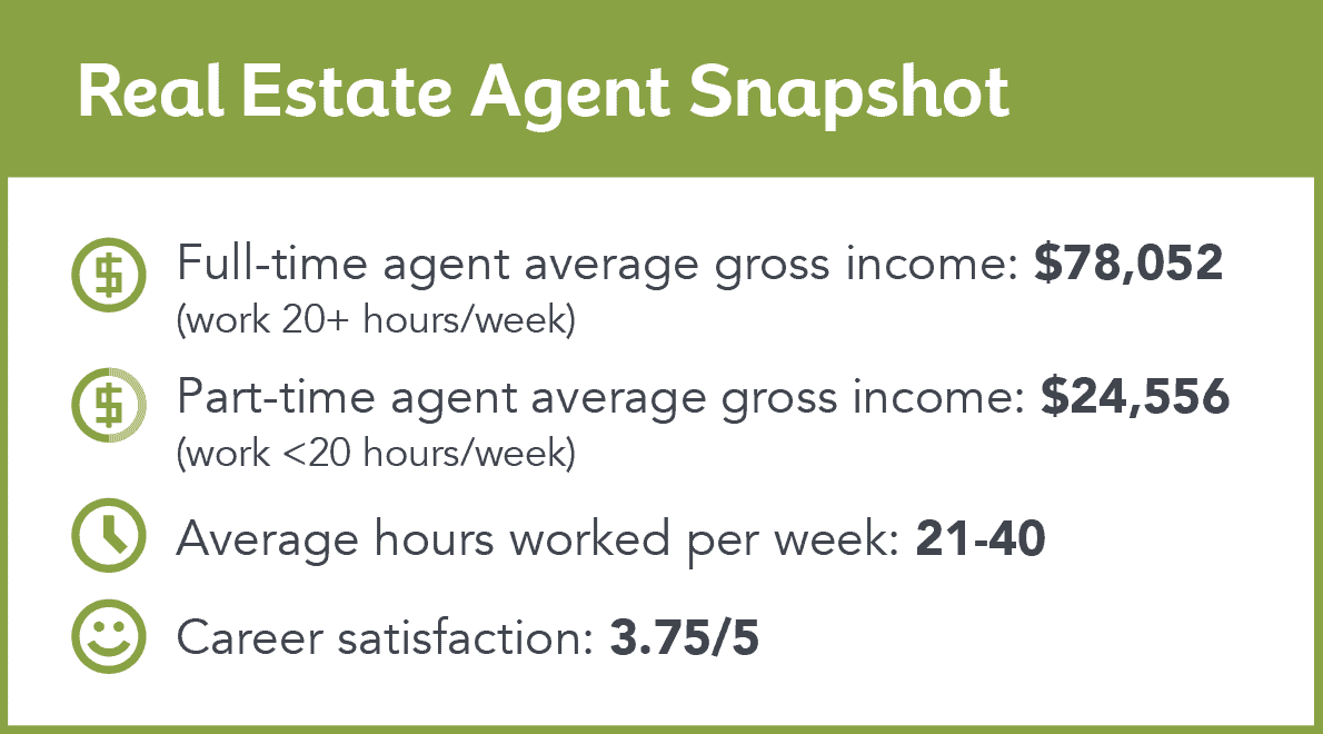 real estate agent income snapshot
