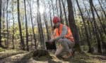 Spotting Subsurface Risk: What Surveyors Should Document Before the First Excavation
